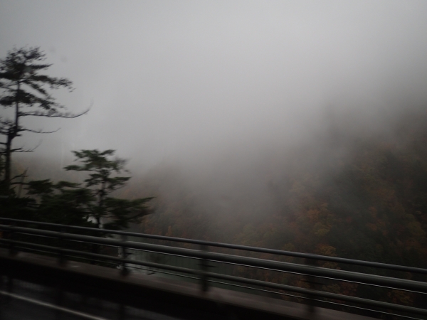 PA290017.JPG