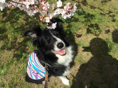 2015.03.30 (206).JPG