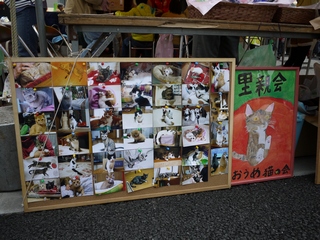 集音器ブログ 猫の里親会