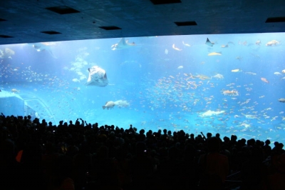 美ら海水族館
