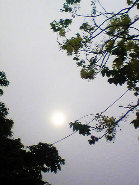 燈泡太陽