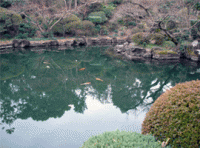 池