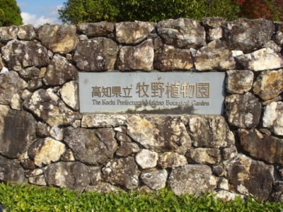 牧野植物園