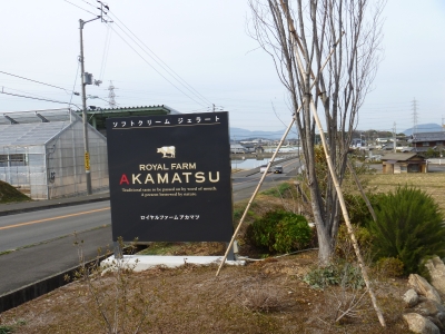 アカマツジェラード