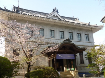 金比羅宮 桜