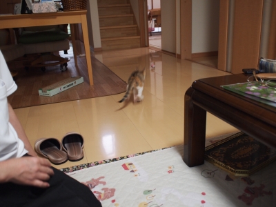 ねおと 契約 (48).JPG