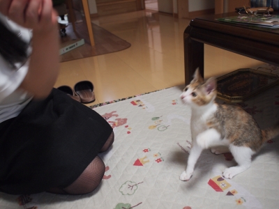 ねおと 契約 (50).JPG