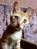s-写真 1.jpg