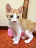 s-写真 4.jpg