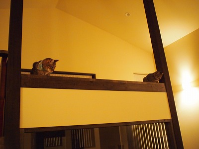 s-P9235432.jpg