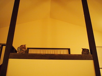 s-P9235434.jpg