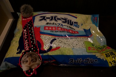 s-DSC03270.jpg
