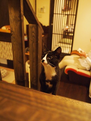 s-むすび 里帰り (14).jpg