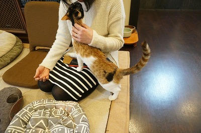 s-凪 フロア (5).jpg