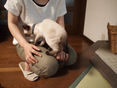 s-ぐらたぐぴ 契約 (5).jpg