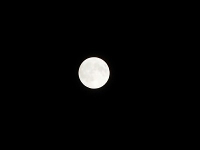 s-_20150927_214856.jpg
