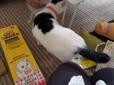 s-じに トライアル (3).jpg