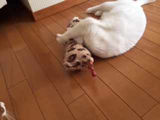 20160514205422e04.jpg