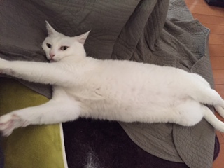201605142032512b4.jpg