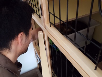 s-とんぼ トライアル2日目 (1).jpg