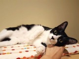 s-s-20170319_195619.jpg