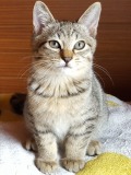s-20171015_083817 - コピー.jpg