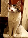 s-20180415_2146705.jpg