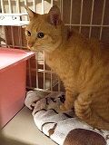 s-s-20181106_003201.jpg