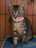 s-20190617_125237.jpg