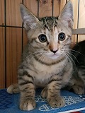 s-20190617_125237.jpg