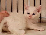 s-20190617_125237.jpg