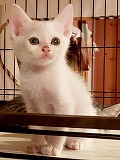 s-20190617_125237.jpg
