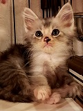 s-s-s-20190120_150746.jpg
