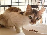 s-20190617_125237.jpg