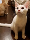 s-20191007_001924 - コピー.jpg
