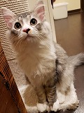 s-20191020_144212 - コピー.jpg
