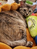 s-20191020_144216 - コピー.jpg