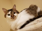 s-20191103_003500.jpg