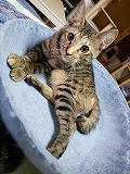 s-20191018_131145.jpg