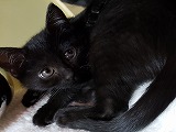 s-20191213_144326.jpg