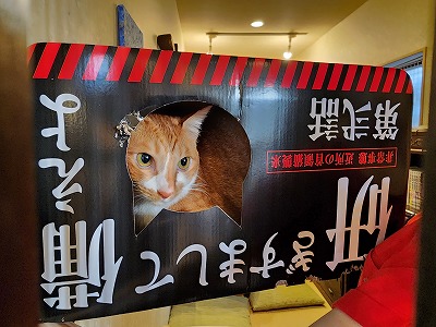 ⭐︎ここちぁページ⭐︎のびねこ88 Amazon.co.jp: [野澤作蔵商店] 【のびねこ 小田原ちくわ】 ちく