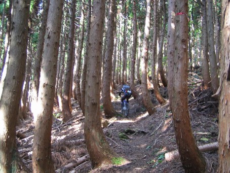 氷ノ山