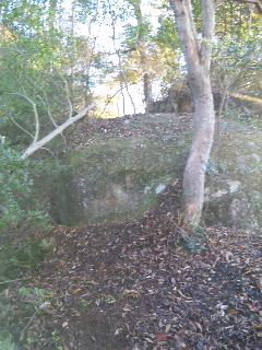 121115_155419.jpg