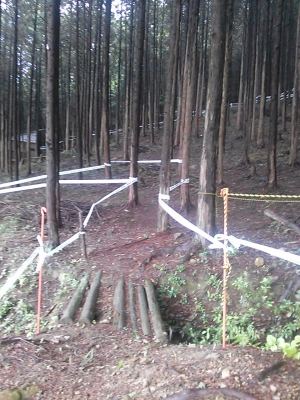 IMG00264.jpg