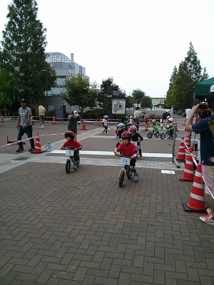 IMG00281.jpg