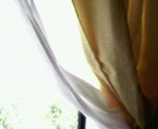 20070518_256950.jpg
