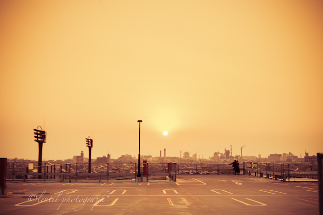 20120327-0054web.jpg