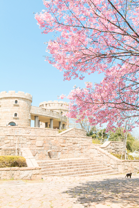 20120404-0020-2.jpg