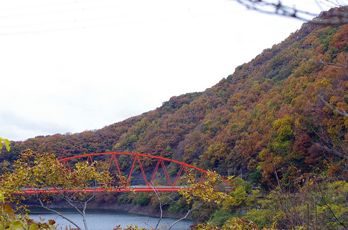 一庫ダム紅葉