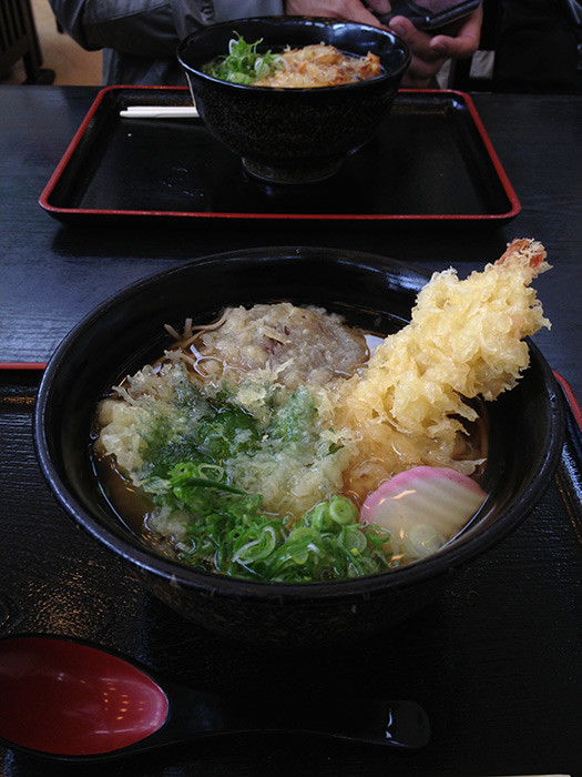 道の駅いながわ 天ぷらそば